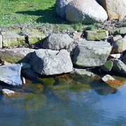 steinhude-steine-wasser Steine am Wasserufer bei Wunstorf, grüne Wiese im Hintergrund, ruhiges Gewässer im Vordergrund.