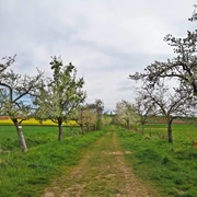 Streuobstwanderweg Mingerode