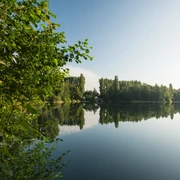 Menzelsee bei Hilden Blick auf einen ruhigen See mit umliegenden Bäumen und klarer Spiegelung der Vegetation im Wasser.