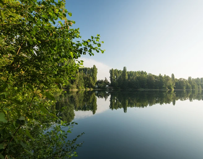 Menzelsee bei Hilden Blick auf einen ruhigen See mit umliegenden Bäumen und klarer Spiegelung der Vegetation im Wasser.