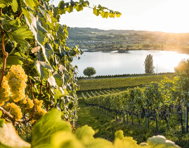 Nico Hess_Kalender 2024 (13).jpg