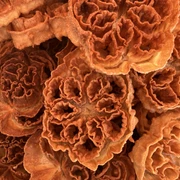 Rosenchüechli im Regionalmuseum Chüechlihus