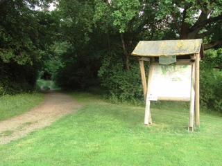 Waldeingang hinterm Thermalsolbad in Salzgitter-Bad