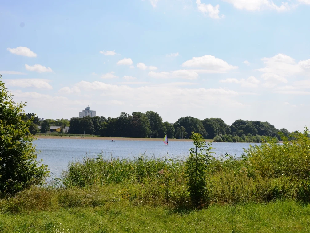 Surfer auf dem Salzgittersee