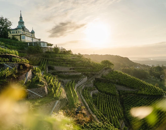 Spitzhaus Radebeul am Abend