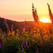 Sonnenaufgang