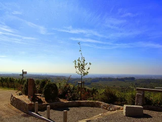 Plauelrainer Köpfle