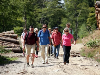 Heilklima-Wanderung Heilklima-Wanderung