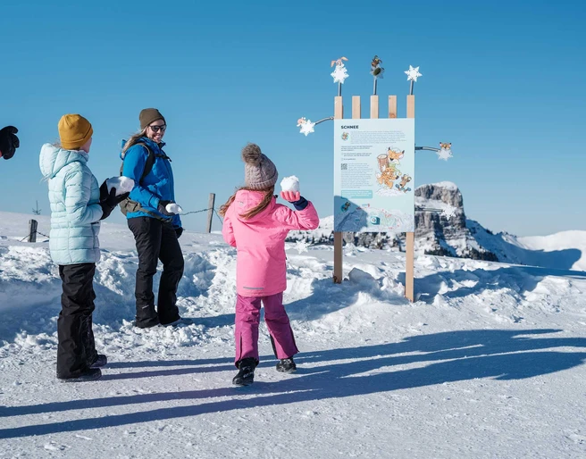 niederhorn-winter-familie-rockys-winterabenteuer-posten-schneeball-ziele.jpg