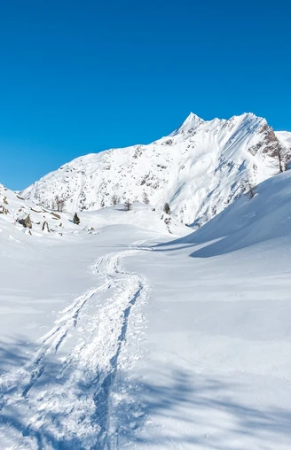 Pfad im Hintergrund das Wasenhorn