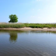Elbufer bei Hitzacker