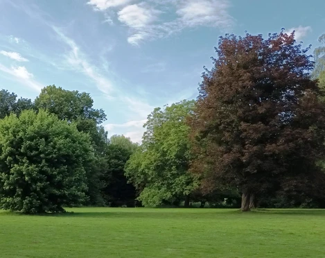 Stadtpark Salzgitter-Lebenstedt mit Baumlehrpfad