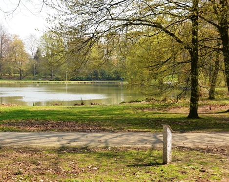 Teich im Stadtpark von Salzgitter-Lebenstedt