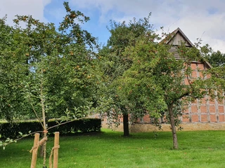 Historische Gebäude im Museumsdorf Cloppenburg