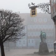 Nebel-Stadtmarkt.jpg Fachwerkhäuser, Denkmal und ein kahler Baum im Nebel