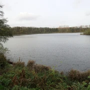 Oerkhaussee in Hilden Ruhiger See von Bäumen umgeben, mit wolkigem Himmel, eingerahmt von herbstlichem Grün.