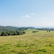 Blick zum Herbsthaus