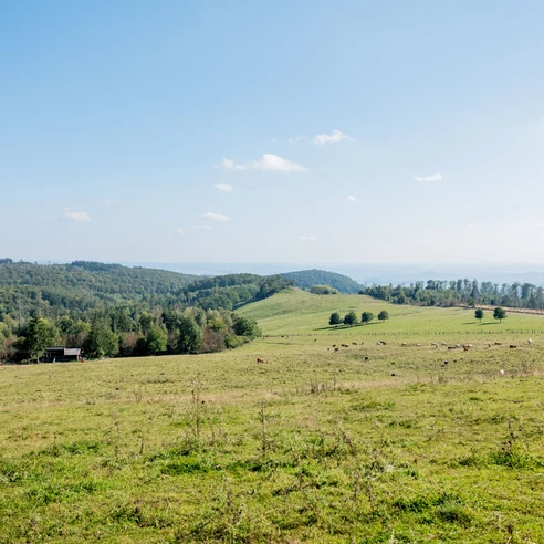 Blick zum Herbsthaus