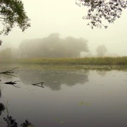 Sumter See im Nebel Sumter See im NebelSumter Lake in the fogLac de Sumter dans la brumeSumter Lake i tåge