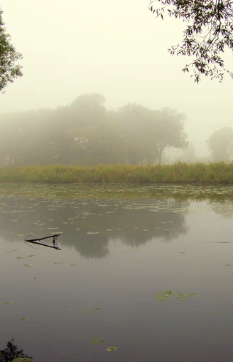 Sumter See im Nebel Sumter See im NebelSumter Lake in the fogLac de Sumter dans la brumeSumter Lake i tåge