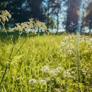 2023-06-10 08.38.36.jpg