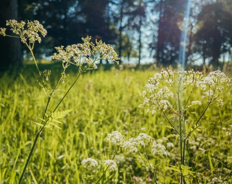 2023-06-10 08.38.36.jpg