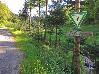 Einfhrt in den Nationalpark Schwarzwald