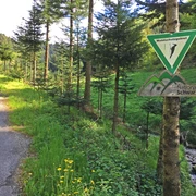 Eingang zum Nationalpark Schwarzwald