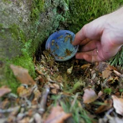 Playing Treasure Hunt Game Hiding and Finding Geocache Container in Forest POV Playing Treasure Hunt Game Hiding and Finding Geocache Container in Forest POV