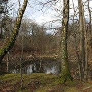 Erlenloch
