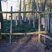 Waldxylophon Waldlehrpfad Stemweder Berg Holzstrukturen formen ein großes Xylophon im Wald, umgeben von Bäumen und Moosboden im Stemweder Berg.