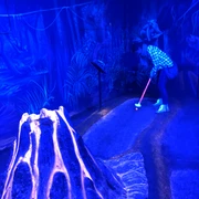 Schwarzlichtlöwen in Braunschweig