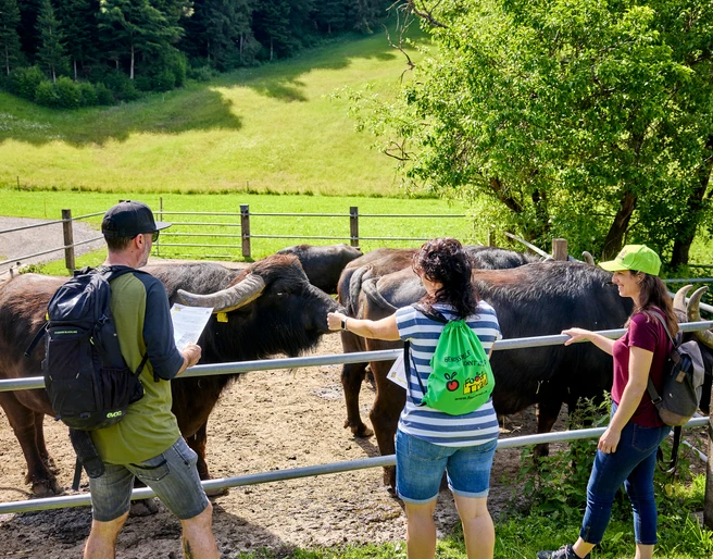 Wasserbüffel_FoodTrail_Marbach_Beat Brechbühl.jpg