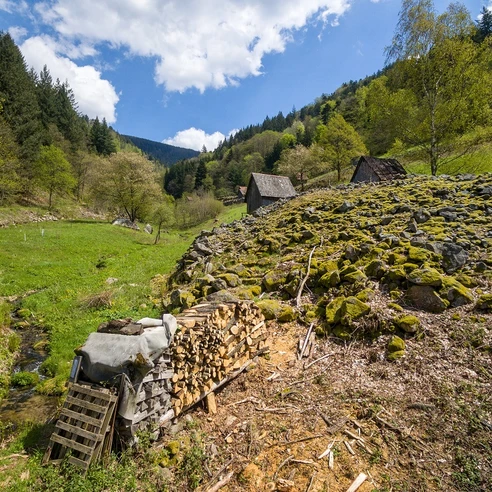 Kauersbachtal bei Forbach