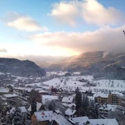 Blick auf Oppenau