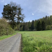 Unterwegs auf dem Spicke Rundweg 2 bei Edertal-Kleinern