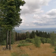 Ausblick vom Wüstegarten
