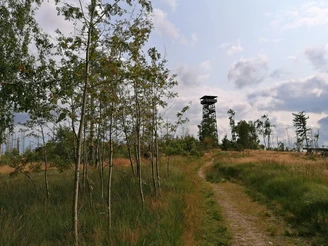 Kellerwaldturm am Wüstegarten