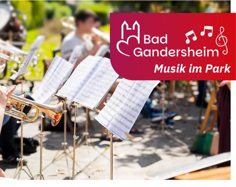 (c) Stadtmarketing_Musik im Park.png