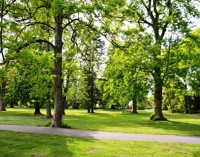 Baumbestand im Gutspark Salzgitter-Flachstöckheim