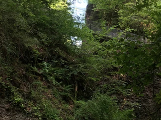 themenweg-gummischlucht-gunten-bruecke.jpg