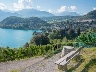 spiez-rebberg-sitzbank-schloss-bucht-thunersee-aussicht.jpg