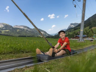 Sommerrodelbahn_Rischli Sommerrodelbahn_Rischli