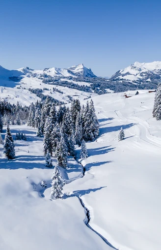 Winterwanderung zum Glaubenbielenpass