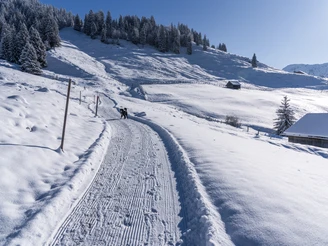Winterwanderung zum Glaubenbielenpass
