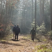 Wanderer im Esterfelder Forst