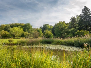 Botanischer Garten