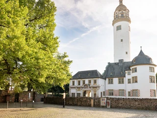 Höchst mit Schloss und Altstadt