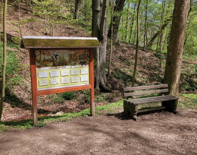 Walderlebnispfad Wechselburg - Station 2