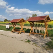 Walderlebnispfad Wechselburg - Station 9